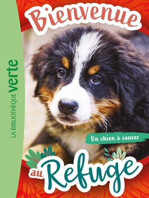 cover image of Un chien à sauver